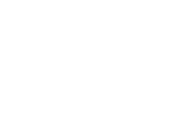 Intek